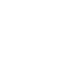 Fiserv Fiserv