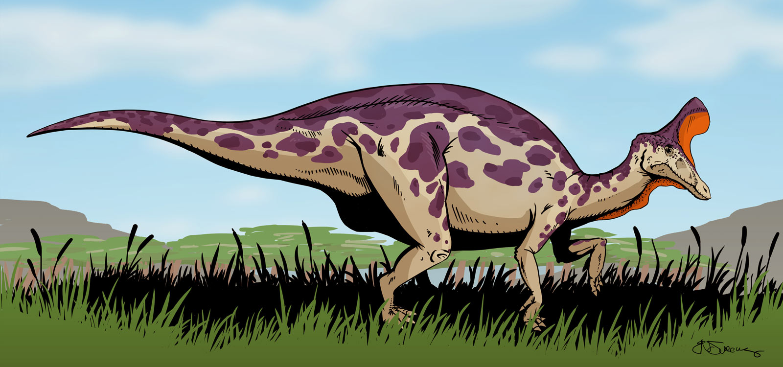 Tsintaosaurus